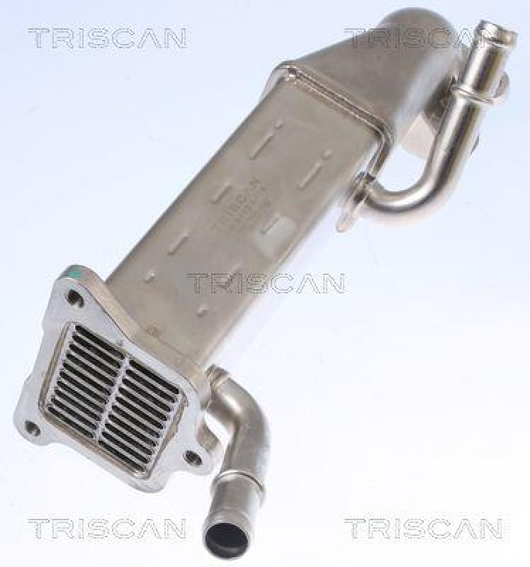 TRISCAN 8813 16106 Kühler, Abgasrückführung für Ford Transit, Tourneo