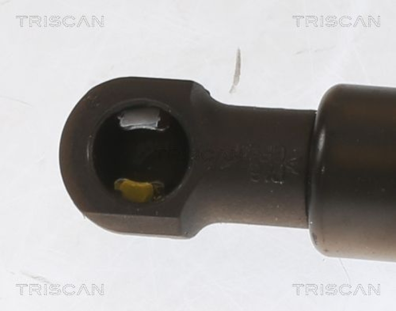 TRISCAN 8710 25233 Gasfeder Hinten für Renault Modus