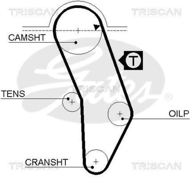 TRISCAN 8645 5016 Zahnriemen für Audi, Porsche, Volkswagen