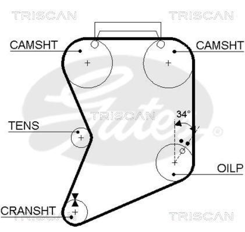 TRISCAN 8645 5022 Zahnriemen für Fiat, Lancia