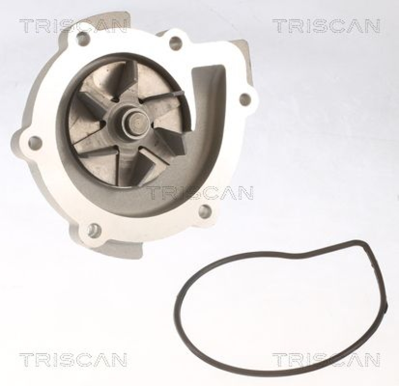 TRISCAN 8600 42022 Wasserpumpe für Mitsubishi