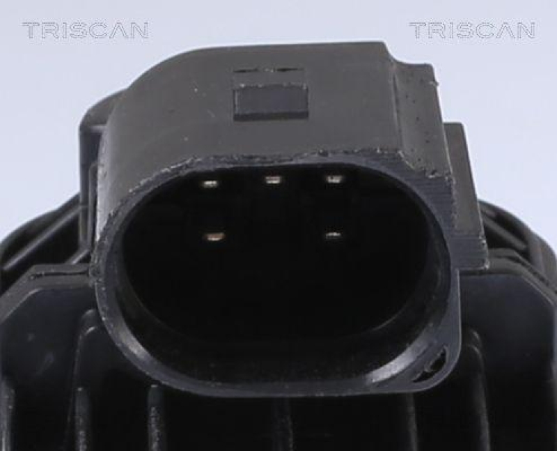 TRISCAN 8813 16201 Agr Ventil für Ford