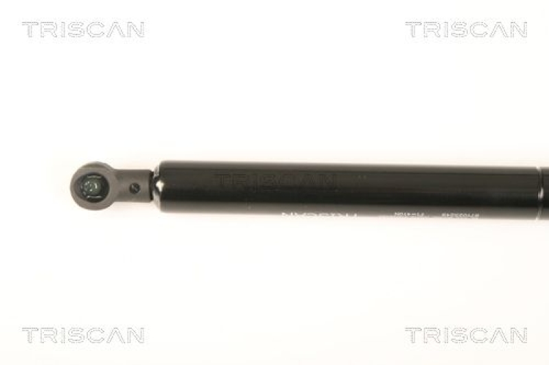 TRISCAN 8710 25249 Gasfeder Hinten für Renault Megane Classic