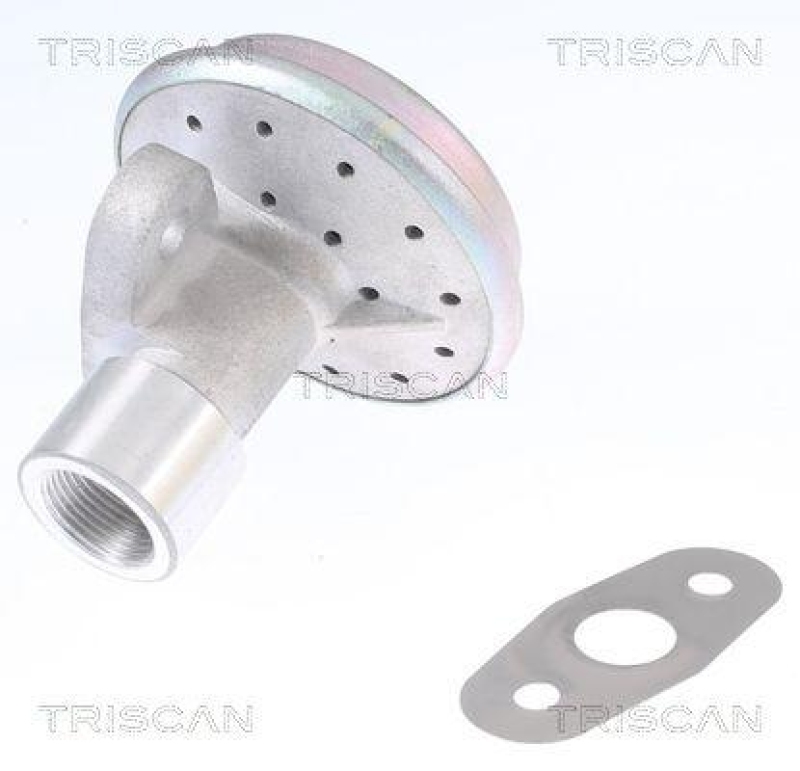 TRISCAN 8813 16204 Agr Ventil für Ford