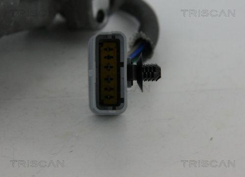 TRISCAN 8813 17019 Agr Ventil für Ford/Landrover