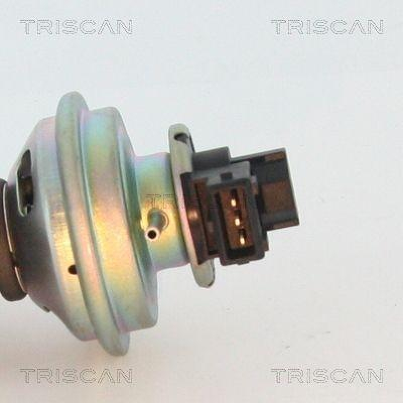 TRISCAN 8813 17100 Agr Ventil für Land Rover