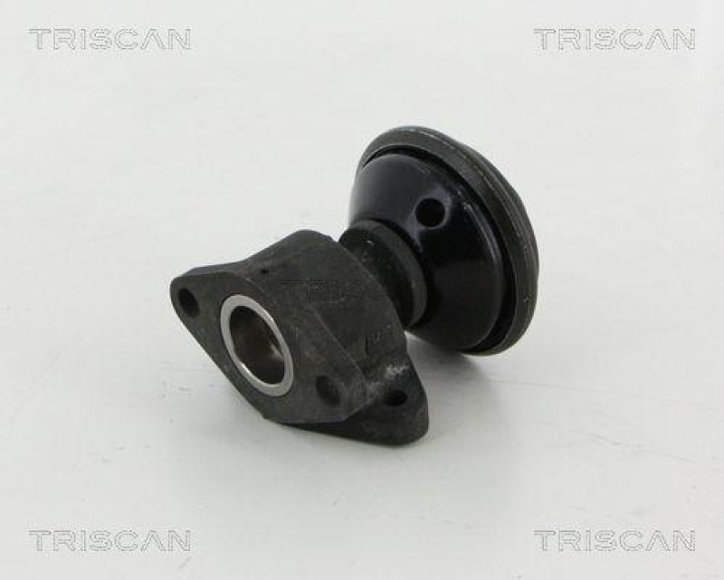 TRISCAN 8813 18035 Agr Ventil für Hyundai/Kia