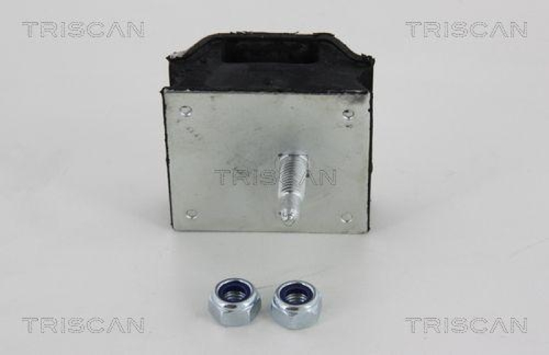 TRISCAN 8500 28532 Lagerbock Ashskörper für Citroen, Peugeot