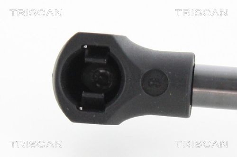 TRISCAN 8710 25272 Gasfeder Hinten für Renault Clio Iv