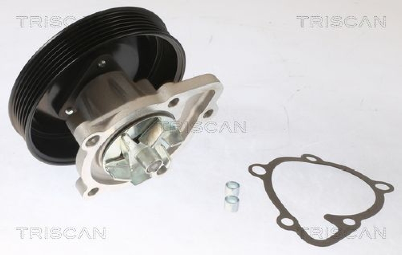 TRISCAN 8600 43028 Wasserpumpe für Hyundai, Kia