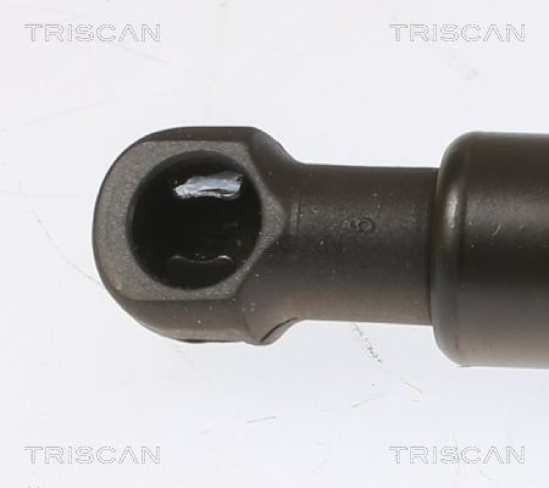 TRISCAN 8710 25280 Gasfeder Hinten für Megane Grandtour 16-