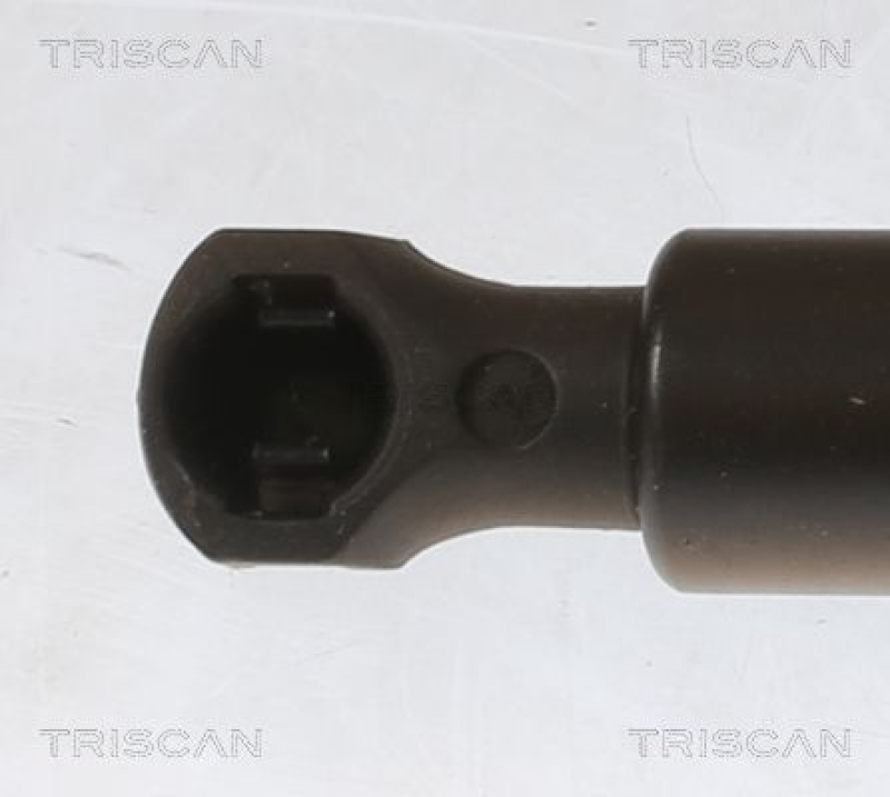 TRISCAN 8710 25281 Gasfeder Hinten für Zoe 12-