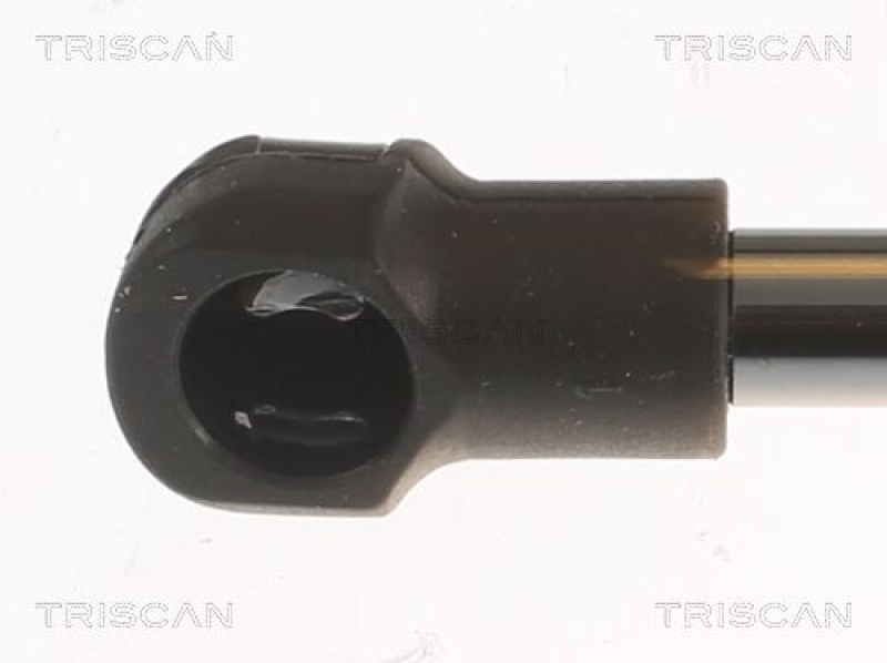 TRISCAN 8710 25283 Gasfeder Hinten für Scenic / Grand Scenic 1