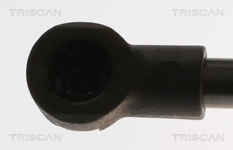 TRISCAN 8710 25287 Gasfeder Hinten für Renault