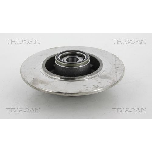 TRISCAN 8120 25172 Bremsscheibe hinten