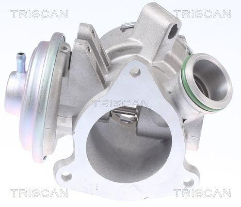 TRISCAN 8813 23032 Agr Ventil für Mercedes