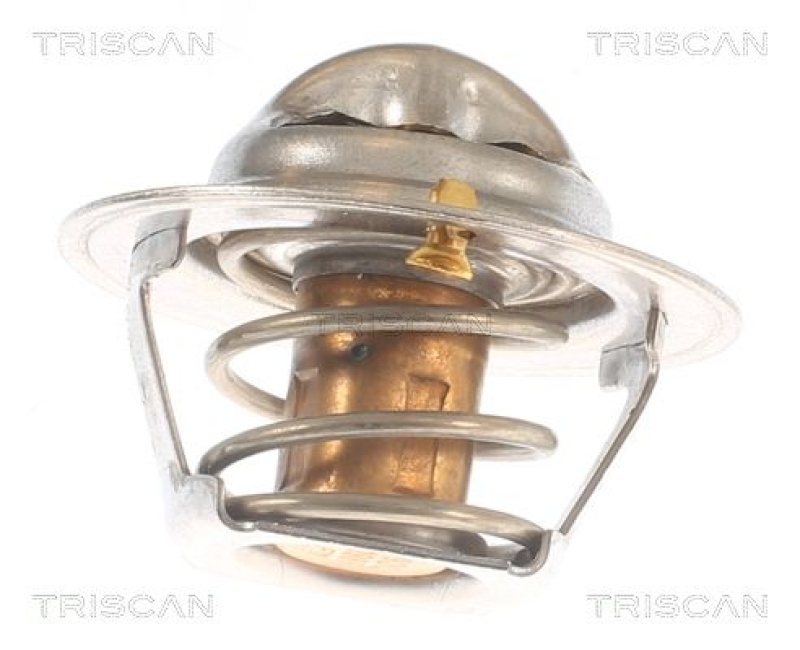 TRISCAN 8620 10592 Thermostat für Ford (1)