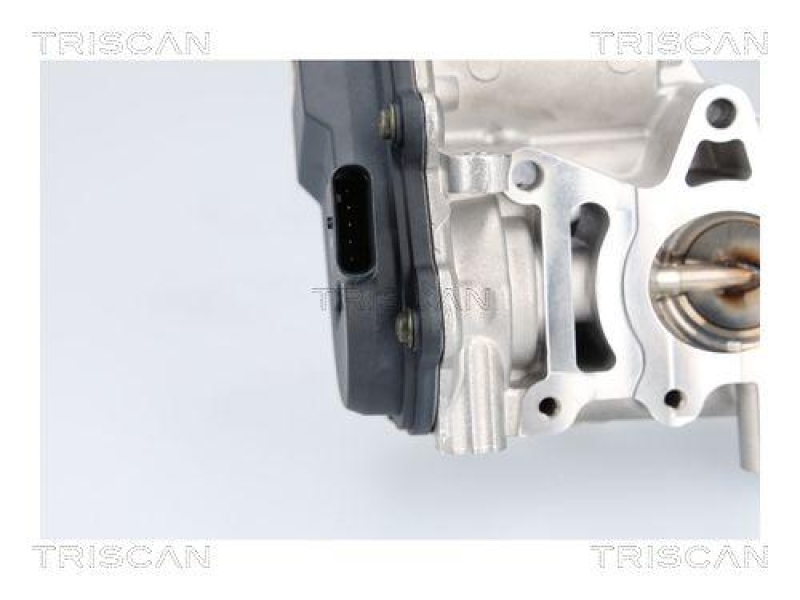 TRISCAN 8813 23041 Agr Ventil für Mercedes