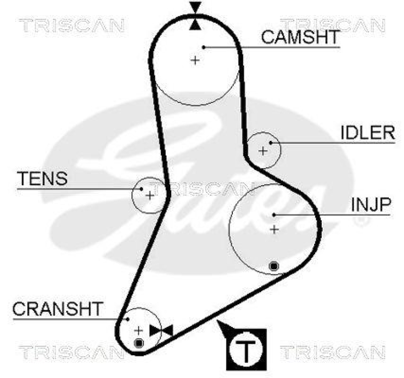 TRISCAN 8647 10011 Zahnriemensatz für Fiat, Peugeot,Renault, Cit