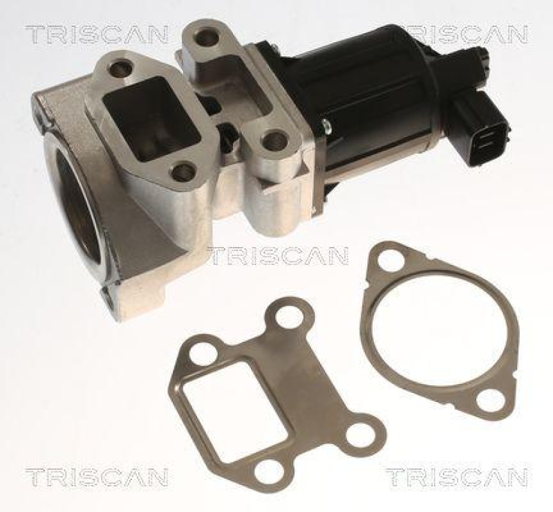 TRISCAN 8813 24018 Agr Ventil für Opel