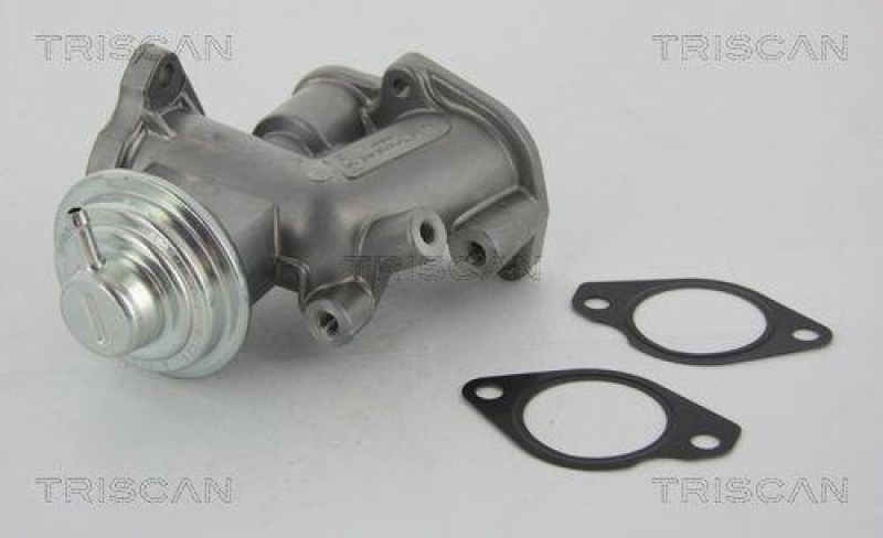 TRISCAN 8813 24031 Agr Ventil für Opel/Saab