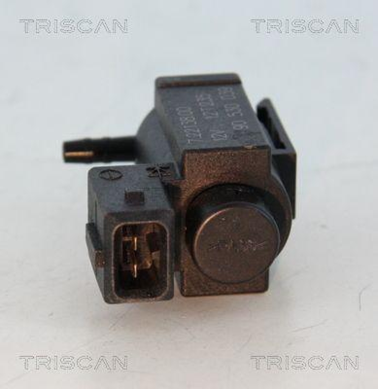 TRISCAN 8813 24034 Agr Ventil für Opel/Gm