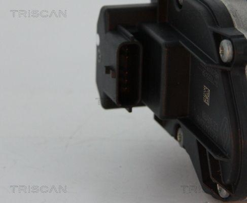 TRISCAN 8813 24039 Agr Ventil für Opel/Nissan