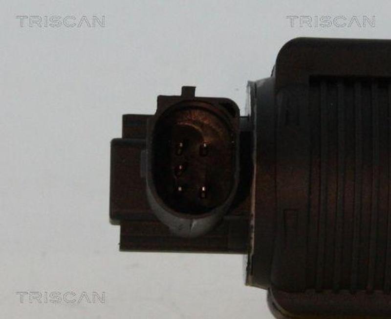 TRISCAN 8813 24055 Agr Ventil für Opel/Gm