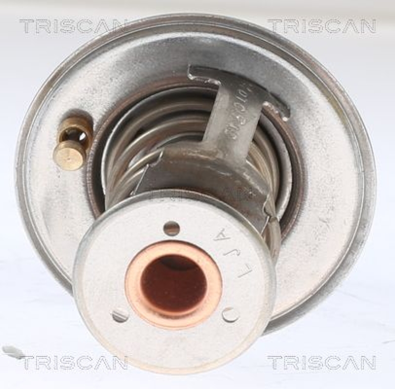 TRISCAN 8620 13289 Thermostat für Saab (1)