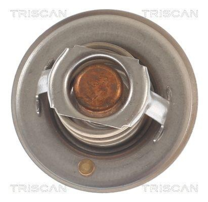 TRISCAN 8620 1192 Thermostat für Ford, Rover (2)