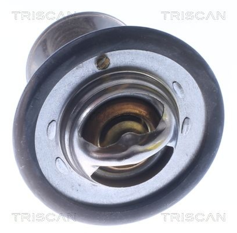 TRISCAN 8620 12582 Thermostat für Rover (0)