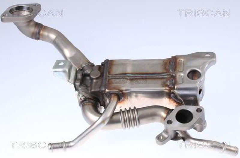 TRISCAN 8813 24105 Kühler, Abgasrückführung für Chevrolet, Opel