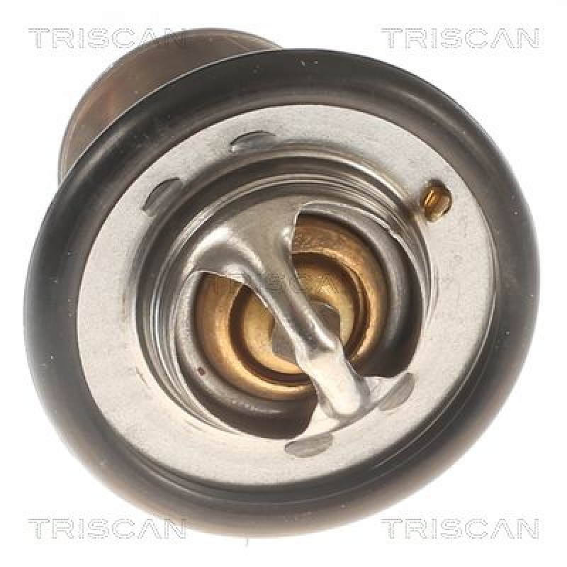 TRISCAN 8620 12588 Thermostat für Rover (0)