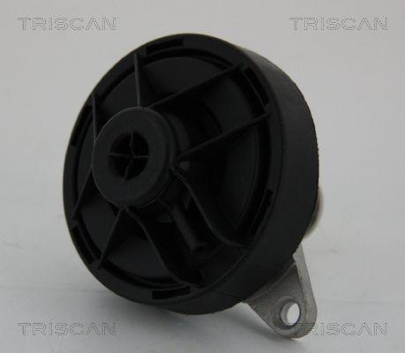 TRISCAN 8813 24202 Agr Ventil für Opel