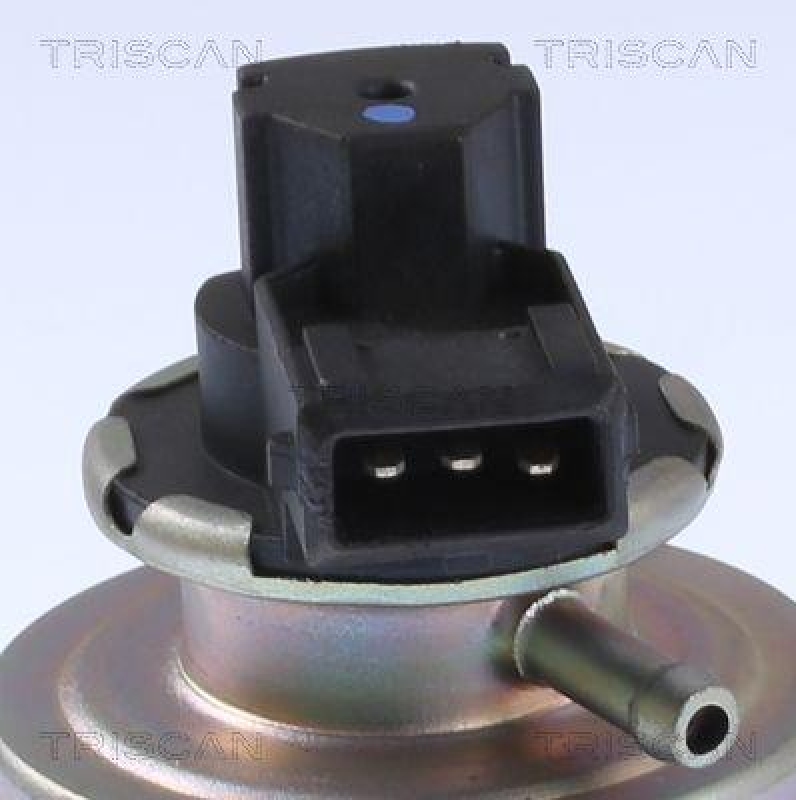 TRISCAN 8813 24203 Agr Ventil für Opel