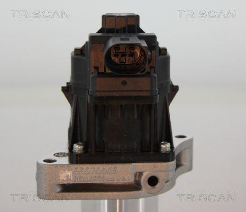 TRISCAN 8813 24205 Agr Ventil für Opel