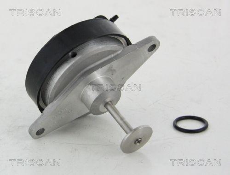 TRISCAN 8813 24208 Agr Ventil für Opel