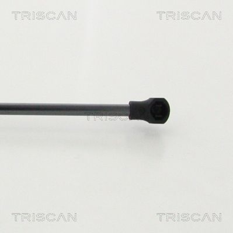 TRISCAN 8710 28248 Gasfeder Hinten für Peugeot 308