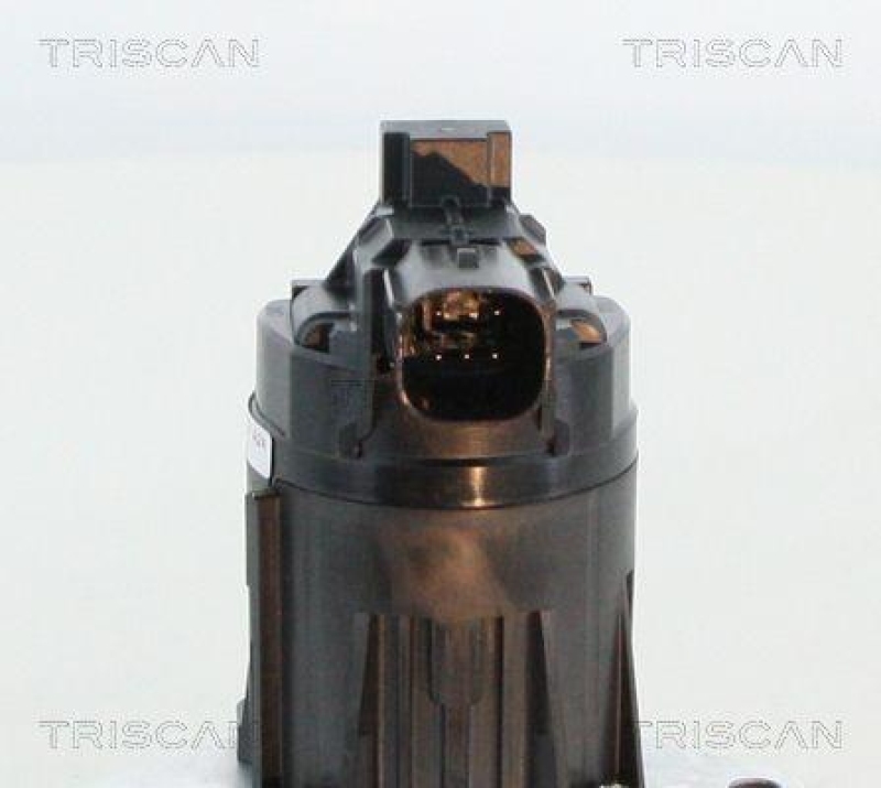 TRISCAN 8813 24209 Agr Ventil für Opel