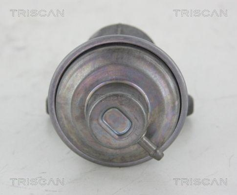 TRISCAN 8813 25006 Agr Ventil für Renault/Dacia