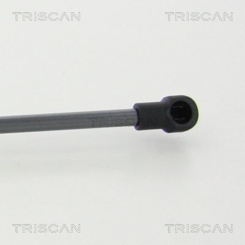 TRISCAN 8710 28250 Gasfeder Hinten für Psa C1/108