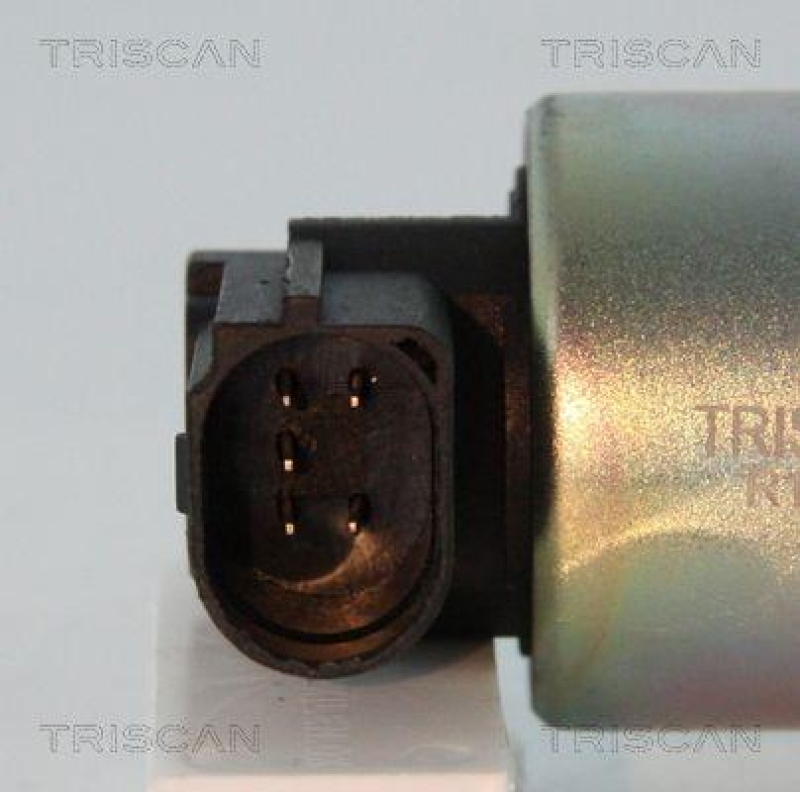 TRISCAN 8813 25011 Agr Ventil für Renault/Dacia