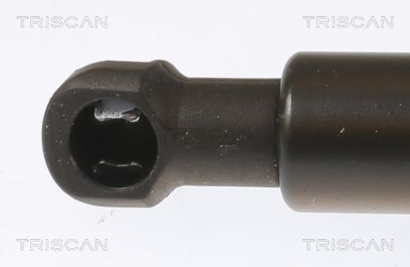 TRISCAN 8710 28251 Gasfeder Hinten für C3 16-