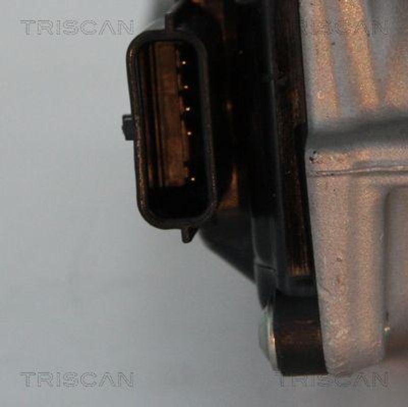 TRISCAN 8813 25013 Agr Ventil für Renault/Dacia