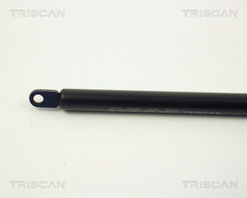 TRISCAN 8710 2902 Gasfeder Hinten für Vw Polo