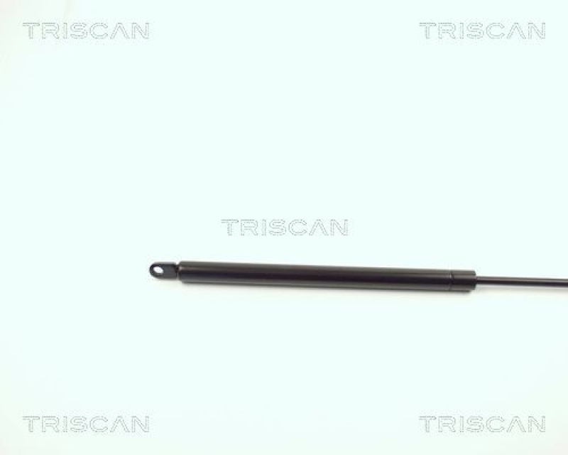 TRISCAN 8710 2903 Gasfeder Hinten für Vw Polo