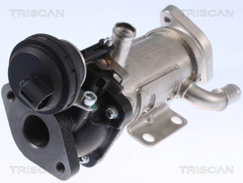 TRISCAN 8813 25101 Kühler, Abgasrückführung für Renault