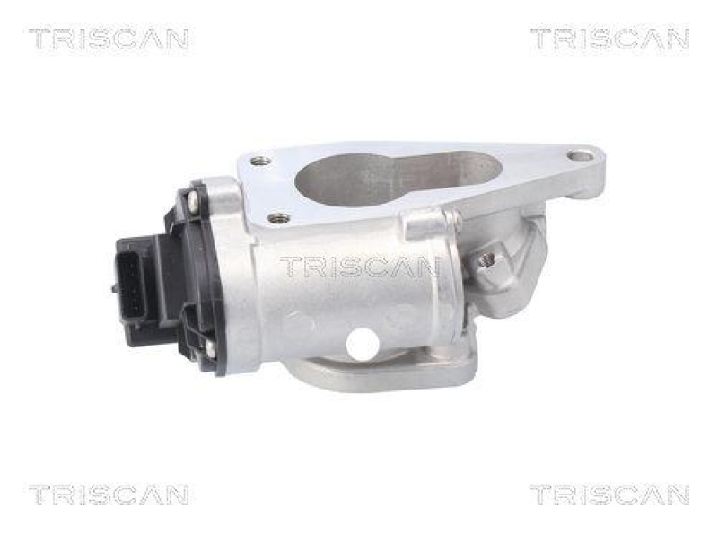 TRISCAN 8813 25201 Agr Ventil für Renault