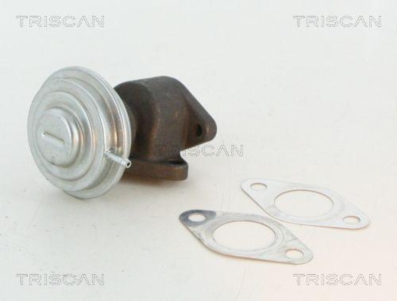 TRISCAN 8813 27100 Agr Ventil für Volvo/Vw 2.5Tdi