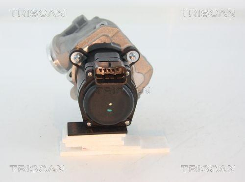 TRISCAN 8813 28003 Agr Ventil für Psa